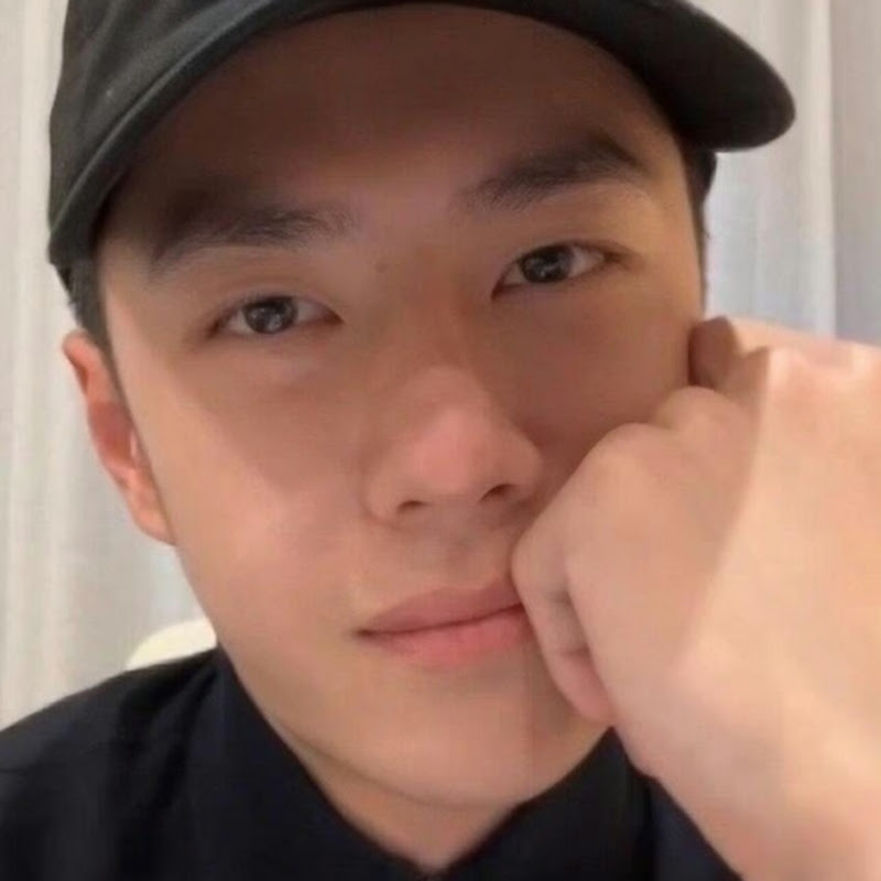 唯愛王一博-藍月星塵 Logo