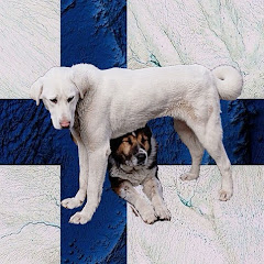 Finnland Info