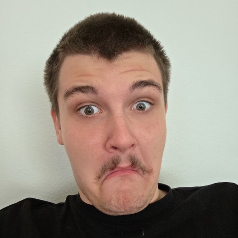 Давид Гамза