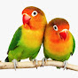 PARROT SACHIN logo