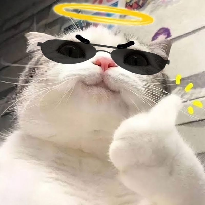 Catto