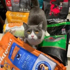 喵星人Miao哥アイコン画像