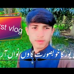 Mester Salman Alipur