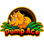 Pump Ace