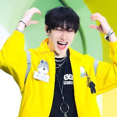 Stray Kids Vibes