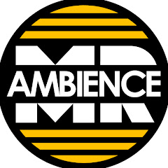 Mister Ambience net worth