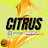 @CITRUS-- Avatar