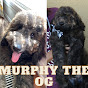 Murphy the OG logo