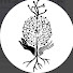 eQGDPh75SKs-channel-avatar-NeuronS_MATTR