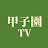 甲子園TV