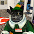 DGZx-hgXuZw-channel-avatar-Wolfthecreator