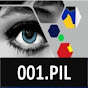 Peregrine Intl Channel 001 (Internal testing) logo