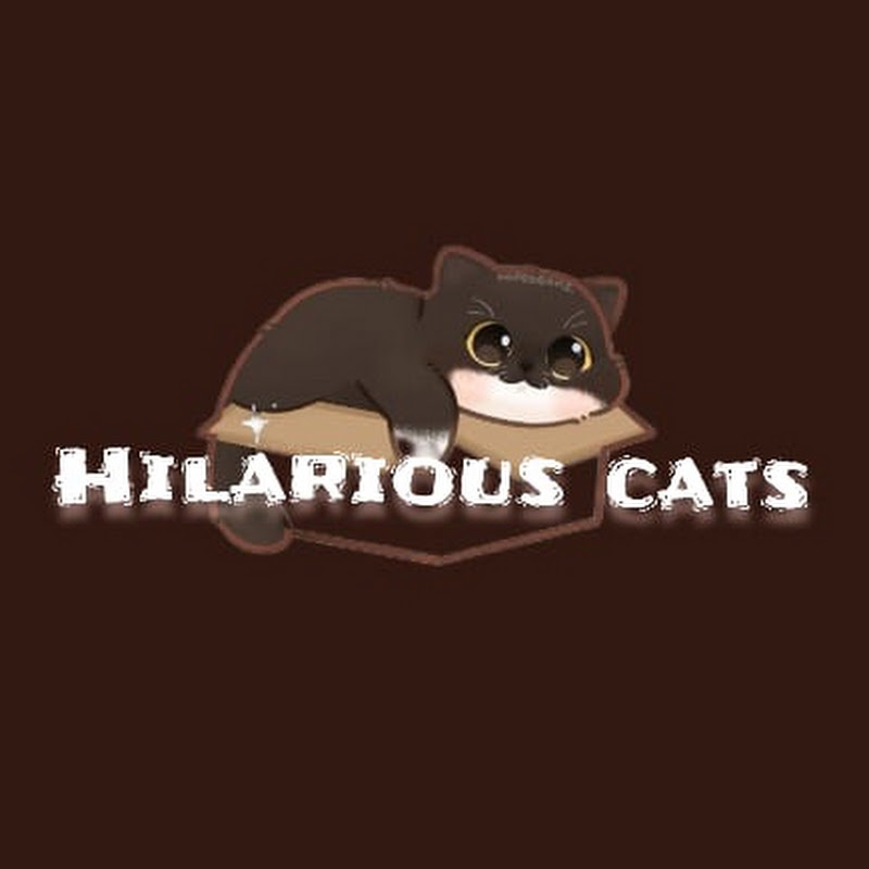 Hilarious_cats