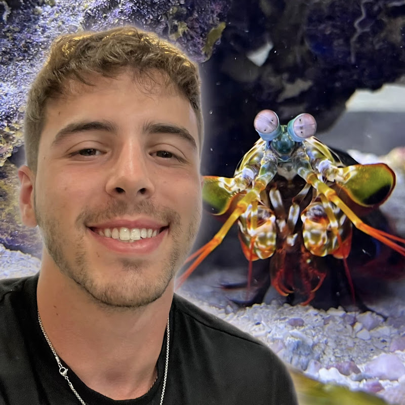 Massimo’s Aquatics