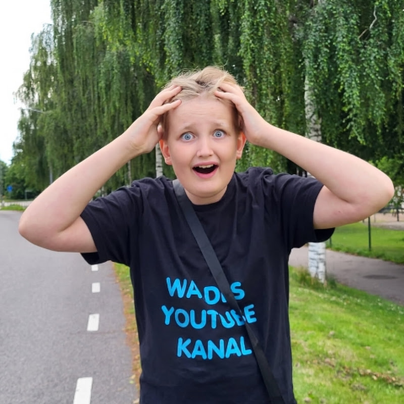 WALDES YOUTUBE KANAL 