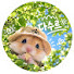 gHd_towhrSk-channel-avatar-다수르 DASUR