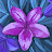 @Dom555-jv5bo