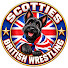 A-xu4vSRSuU-channel-avatar-SCOTTIES BRITISH WRESTLING