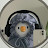 @SalmaRaof-q8x