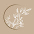 dQKVeXGKKWc-channel-avatar-Comfort Gallery