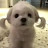 @hyunjun15081