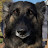 @Jeff-Chinn's avatar