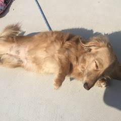 カンキチアイコン画像