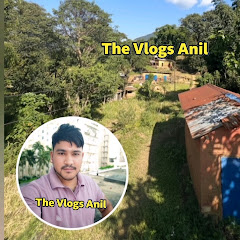 The vlogs Anil 