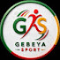 D6e4QRLg2xY-channel-avatar-Gebeya Sport | ገበያ ስፖርት