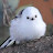 @흰둥이-v5s