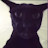 @ZaddyScaryStories Avatar
