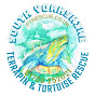 South Yorkshire Terrapin & Tortoise Rescue logo