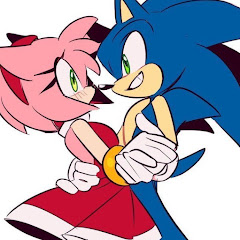 Sonica The Hedgefox net worth