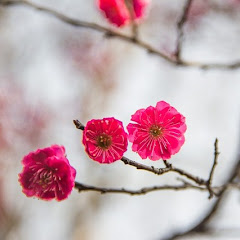 There's No Place Like Home net worth