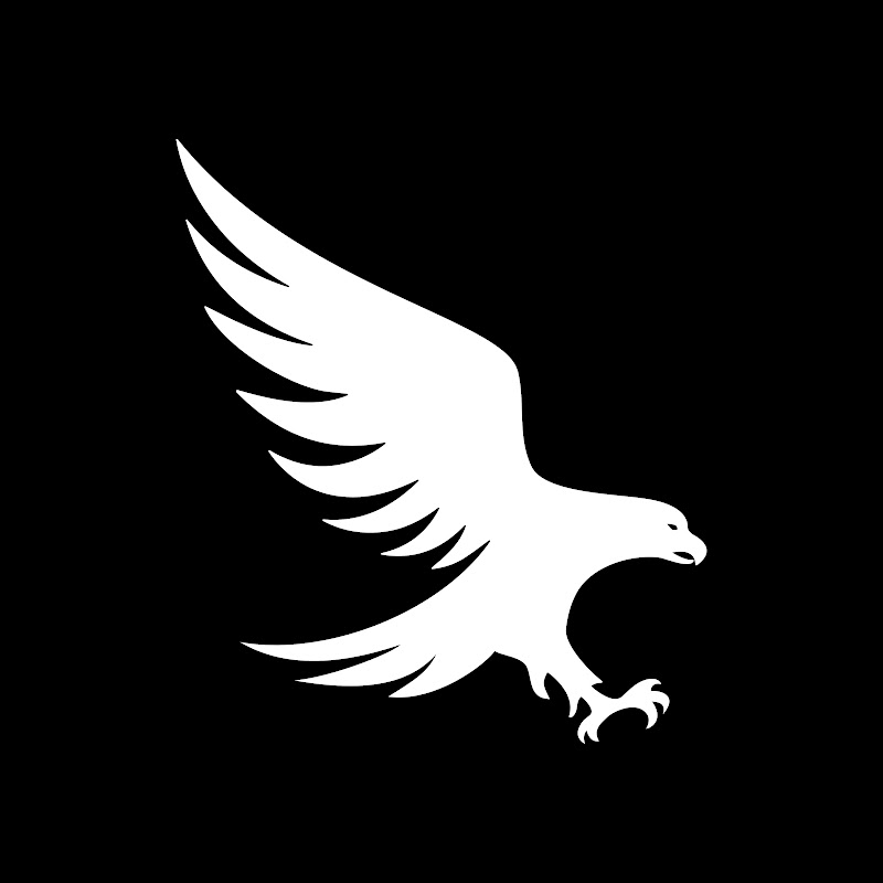 Diving Eagle Games