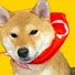 KMuYmWCYrZc-channel-avatar-りんちゃんは柴犬