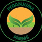 F.Y Danjuma Farms logo