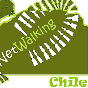 NetWalking Chile