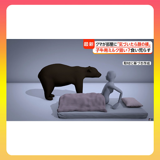 くま♪(๑ᴖ◡ᴖ๑)♪ページ YouTube