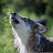 @marcd8576's avatar
