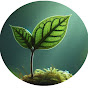 4aCR7vhpnhI-channel-avatar-Pure Music Moments