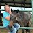 Raisin Roans Ranch Quarter Horses 