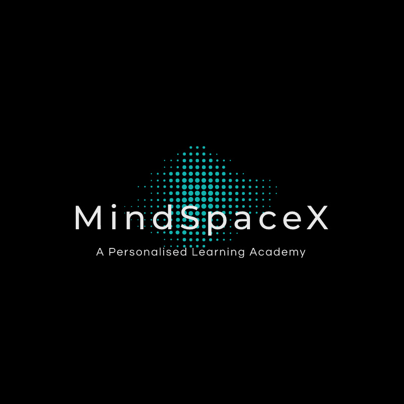 MindSpaceX