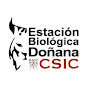 Estación Biológica de Doñana EBD-CSIC YouTube Profile Photo
