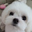 @슈크림-r5o