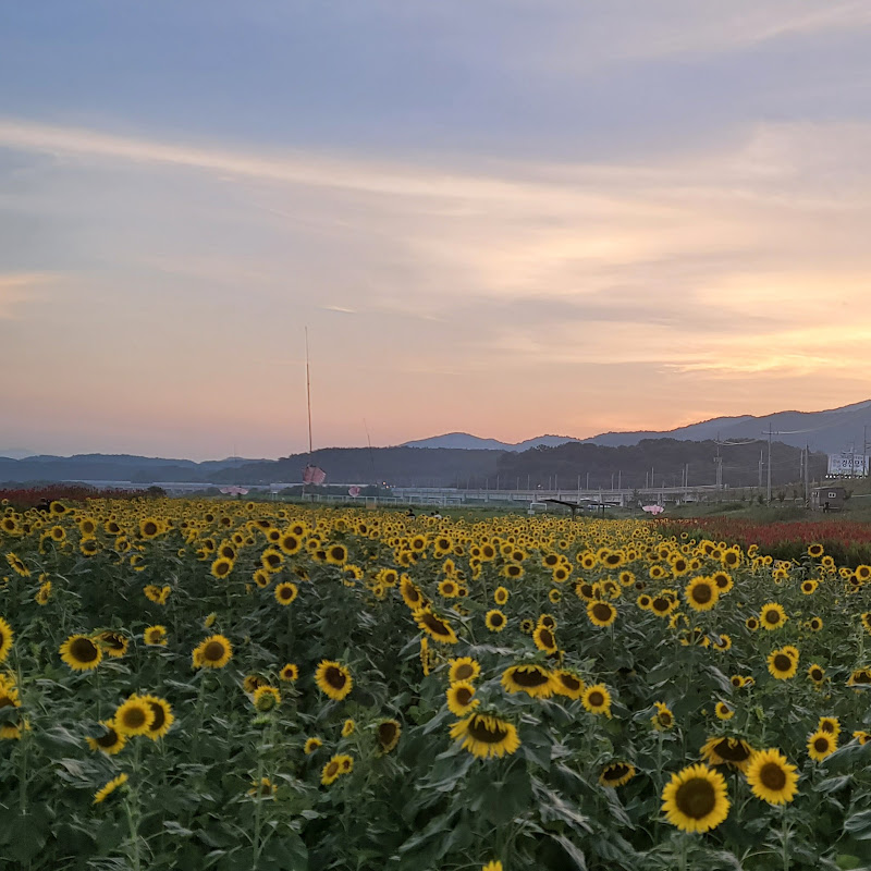 농사도정보다 Logo