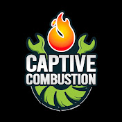Captive Combustion