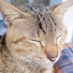I_VJ6iJKs68-channel-avatar-ASA DOKUMEN