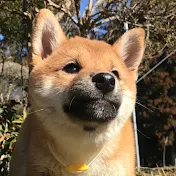 ちゃこまるちゃんねる