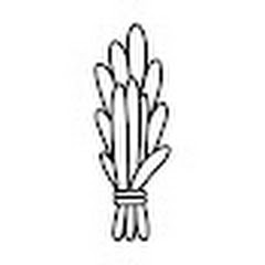 Thumbnail of related channel